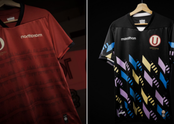 camiseta del hincha 2024 color
