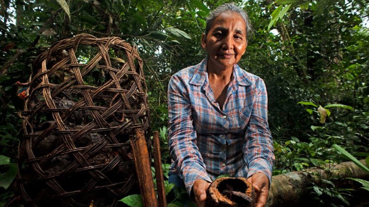 Wong se convierte en el primer supermercado con E-commerce carbono neutral del Perú 1 owong 100