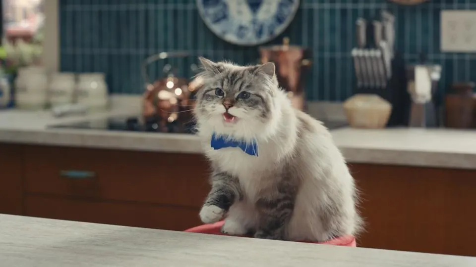 "Los consumidores no quieren que se les sermonee", Hellmann's apela al humor contra el desperdicio 3 Hellmanns Humor 2