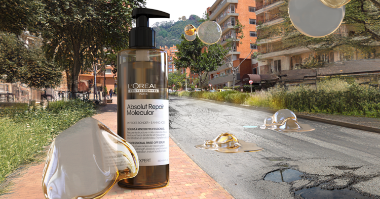 PORTAL LOREAL PROFESSIONNEL