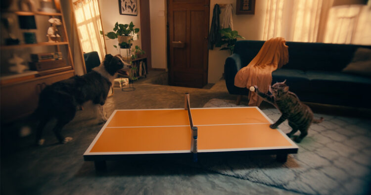 Betsson y The Juju : "Apostamos que te divertirás"