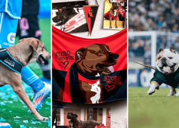 clubes peruanos día del perro