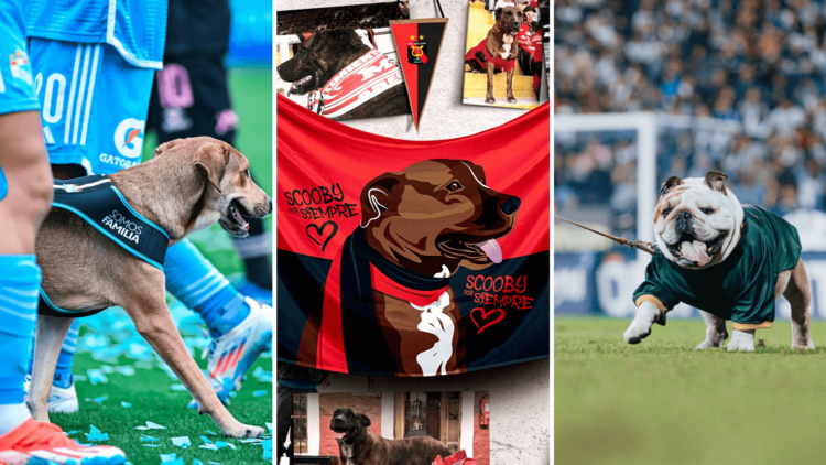 Así celebraron los clubes peruanos el Día Mundial del Perro 1 clubes peruanos día del perro