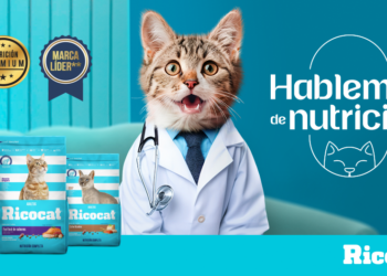 Yvonne Frayssinet y Merly Morello se unen con Ricocat para hablar sobre la nutrición para gatos