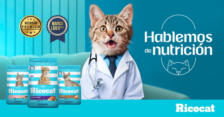 Yvonne Frayssinet y Merly Morello se unen con Ricocat para hablar sobre la nutrición para gatos