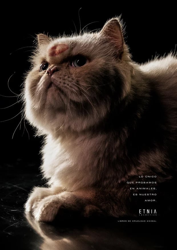 Kiss testing, la campaña de Etnia Cosmetics que busca luchar contra el testeo animal 3 kiss testing 1