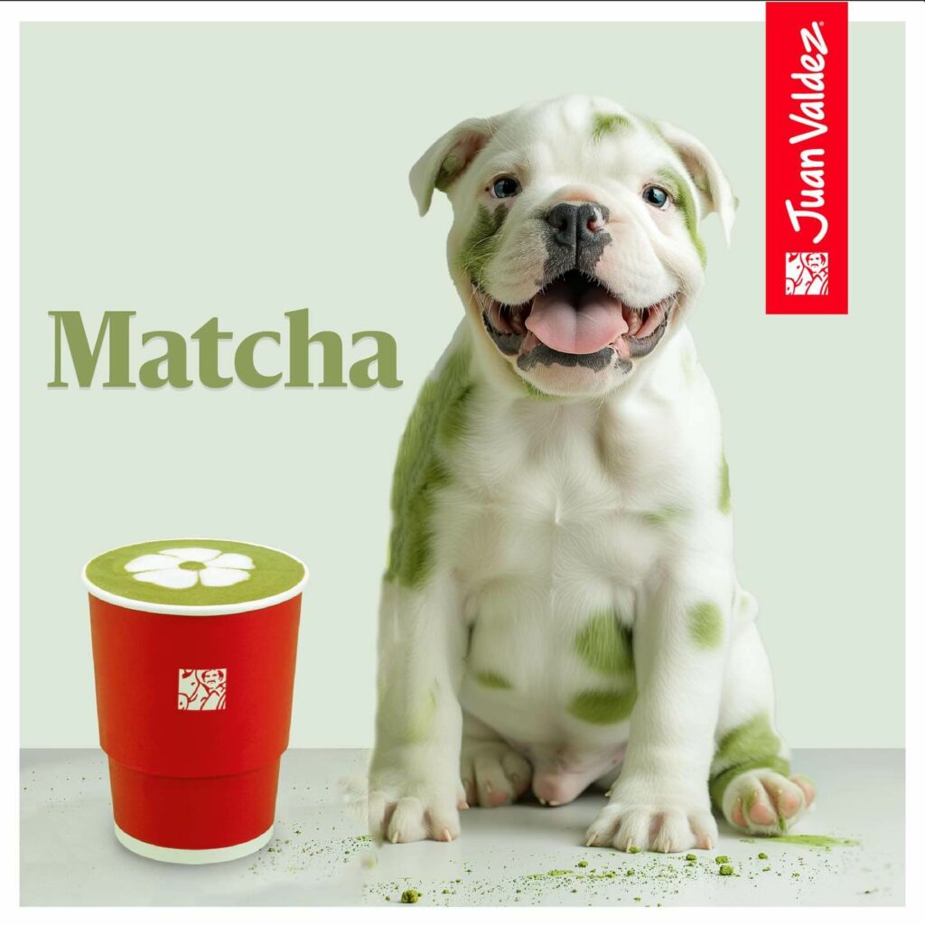 ¿Cómo se vería tu bebida favorita en versión gatito o perrito? Juan Valdez sorprende a los petlovers 3 Juan Valdez petlovers