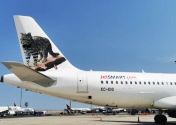 JetSMART lanza promoción para viajar con tu michi por tan solo un dólar
