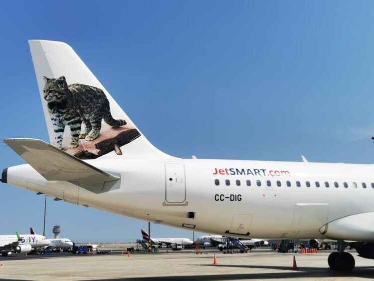 JetSMART lanza promoción para viajar con tu michi por tan solo un dólar