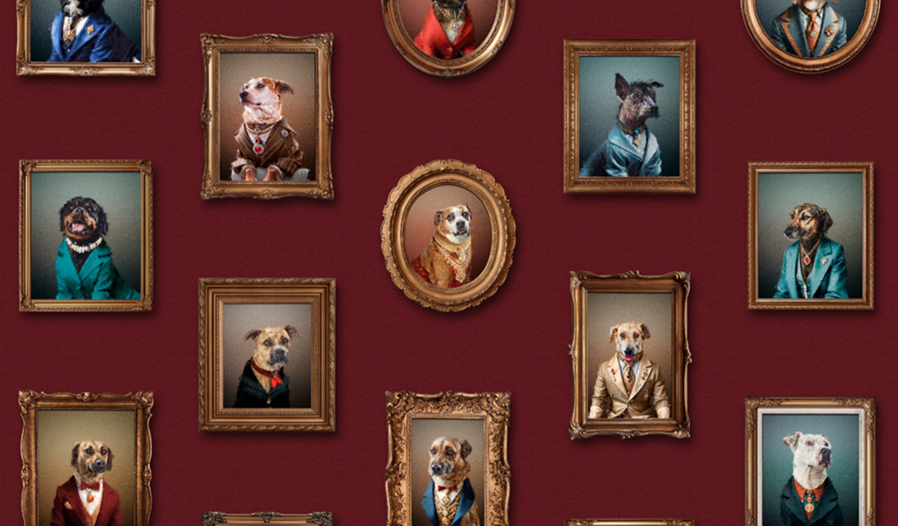 Sugar Doggies, el proyecto de Potro Lima que te convencerá de adoptar un perro adulto 2 Sugar Doggies