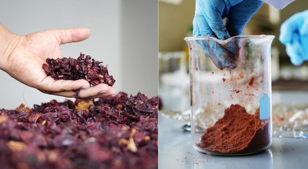 Moda sostenible: el primer biocuero peruano a base de residuos de la industria alimenticia 2 biocuero peruano