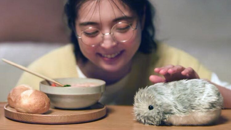 Casio presenta Moflin, una mascota robótica con IA que exhibe emociones reales e interactúa con las personas 1 CASIO Moflin AI Pet Robot 6