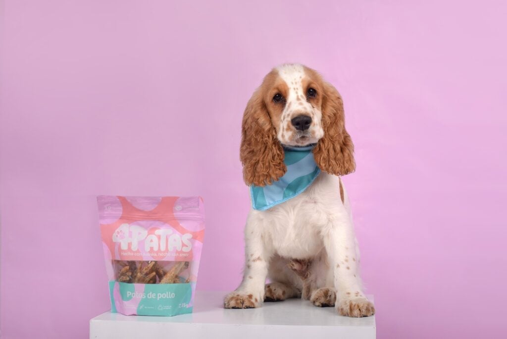 c881be10 73a8 437d 8aff 2250127dbcab