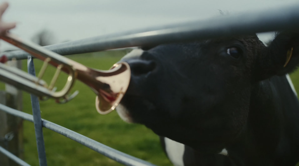 La niña y vaca