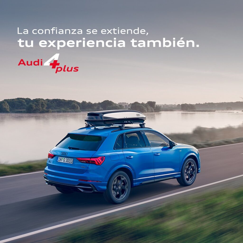 WhatsApp Image 2024 11 13 at 14.40.49 1