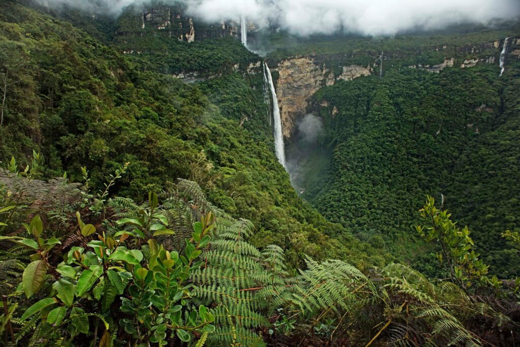 Benetton Perfumes Naturaleza