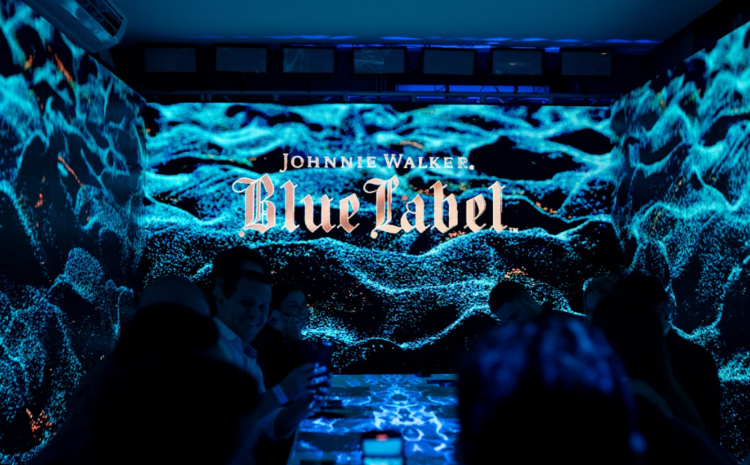 Blue Room Experience