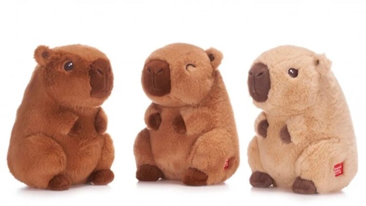 WhatsApp Image 2024 12 02 at 11.19.43