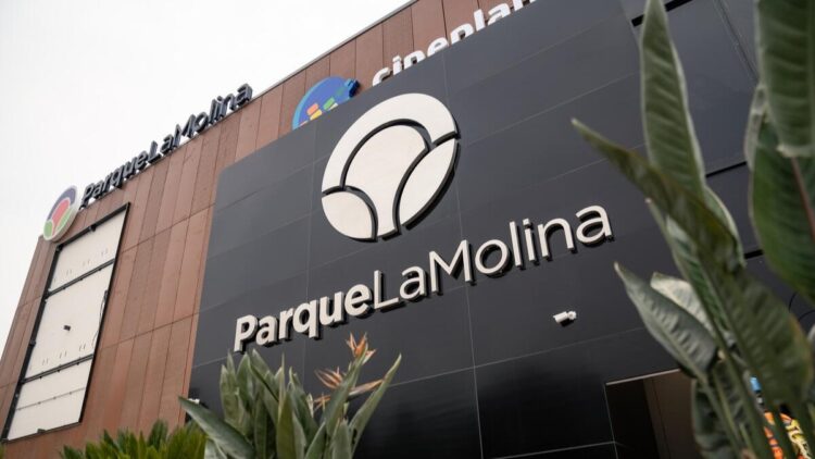 WhatsApp Image 2024 12 19 at 12.36.20 PM 1 1