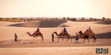 Dromedarius 1000x525 Mercado Negro