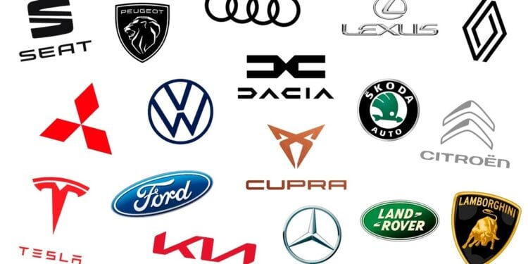 WhatsApp Image 2025 01 31 at 11.31.26 1