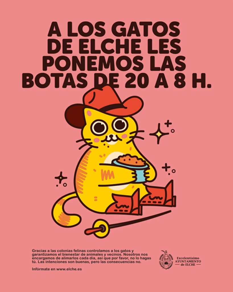 campaña gatos callejeros