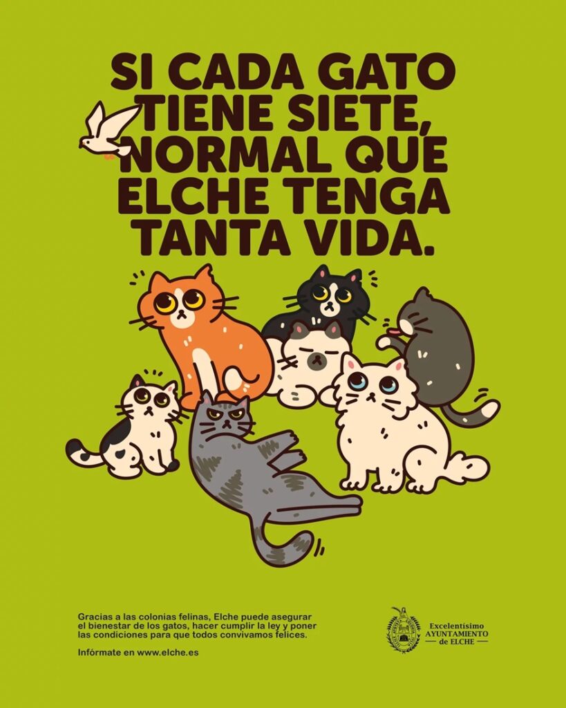 campaña gatos callejeros