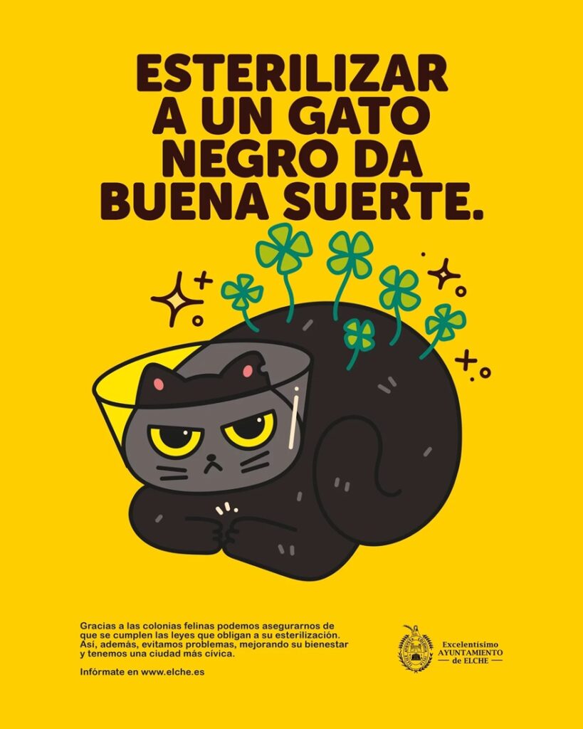 campaña gatos callejeros