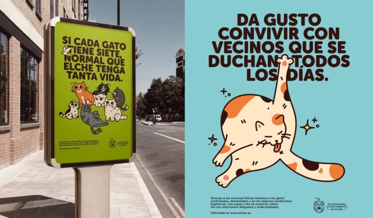 campaña gatos callejeros