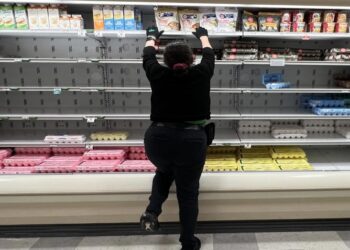 WhatsApp Image 2025 02 18 at 15.51.53