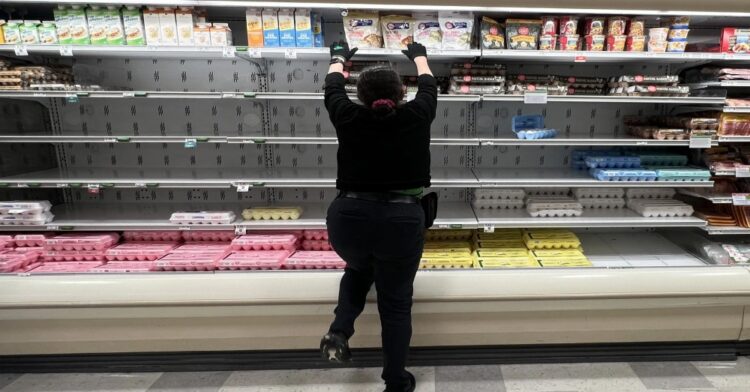 WhatsApp Image 2025 02 18 at 15.51.53