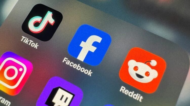 WhatsApp Image 2025 03 04 at 12.59.33 1