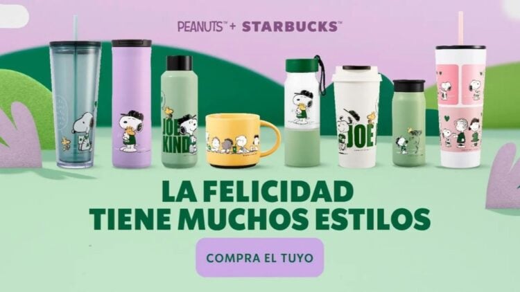 WhatsApp Image 2025 03 18 at 11.22.50 1