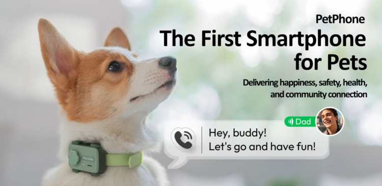 ¿Imaginas comunicarte por celular con tu mascota? Este es el nuevo PetPhone 1 petphone