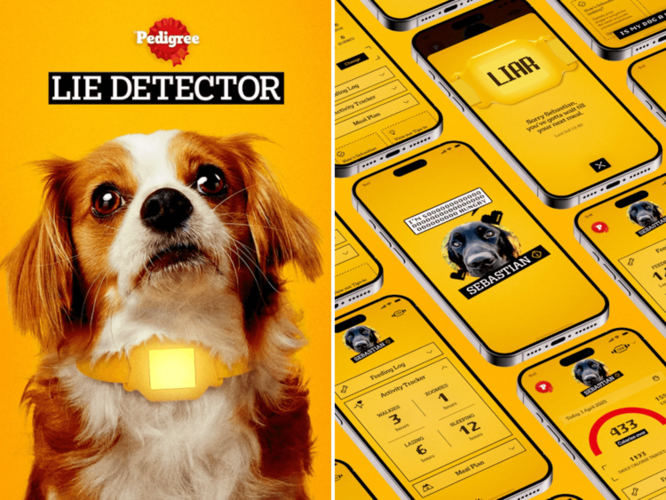 “Lie detector”, un collar creado por Pedigree para ayudar en la alimentación de los perros 1 Louis Vuitton 1 1