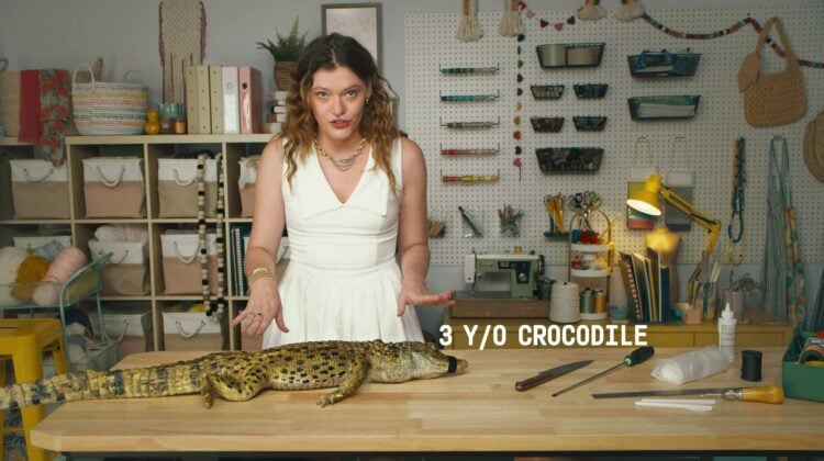 ¿Un tutorial para hacer una cartera con piel de cocodrilo? Esta es la última campaña de PETA 1 PETAA
