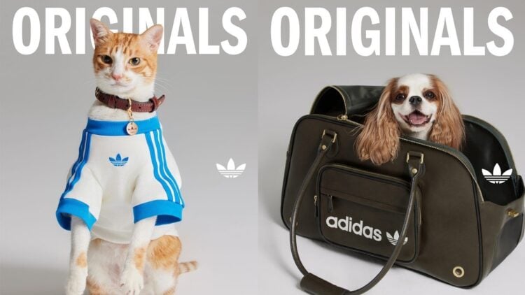 WhatsApp Image 2025 05 19 at 16.45.00 1