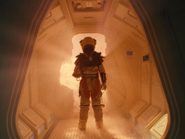 250605014015 mx.Isla Doritos 800 25