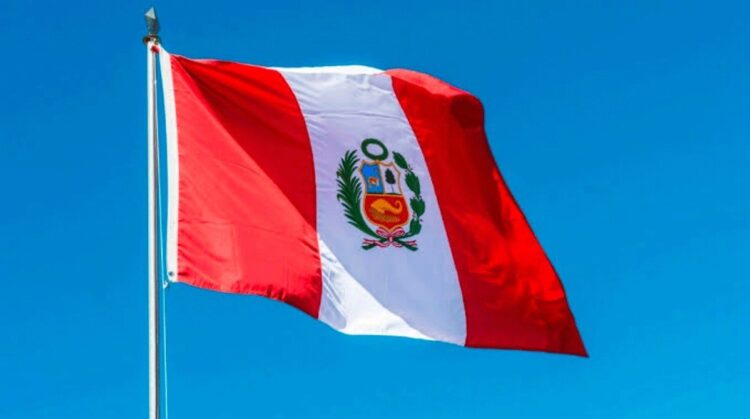 WhatsApp Image 2025 06 06 at 17.33.56 1