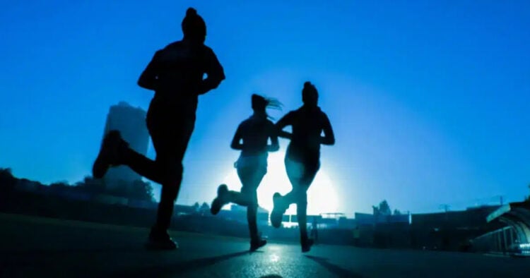 PORTAL 2025 07 02T102116.916