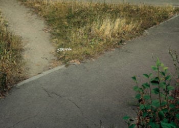 PORTAL 2025 07 22T105713.859