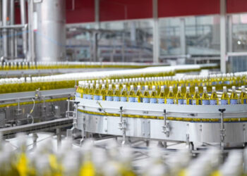 PORTAL 2025 07 31T152208.454