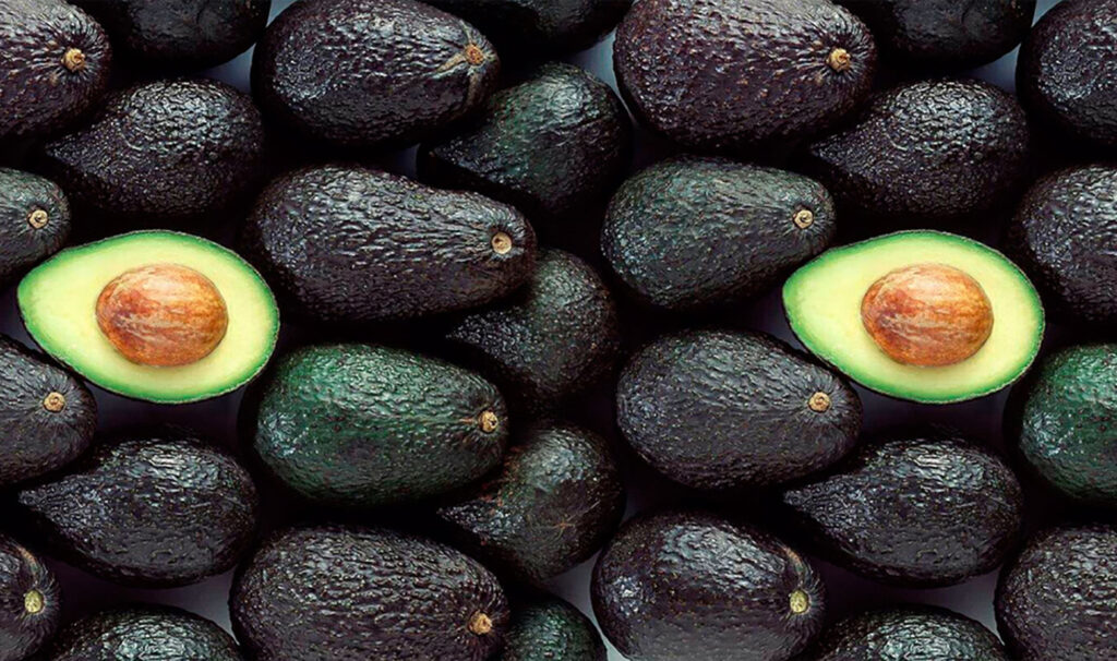palta
