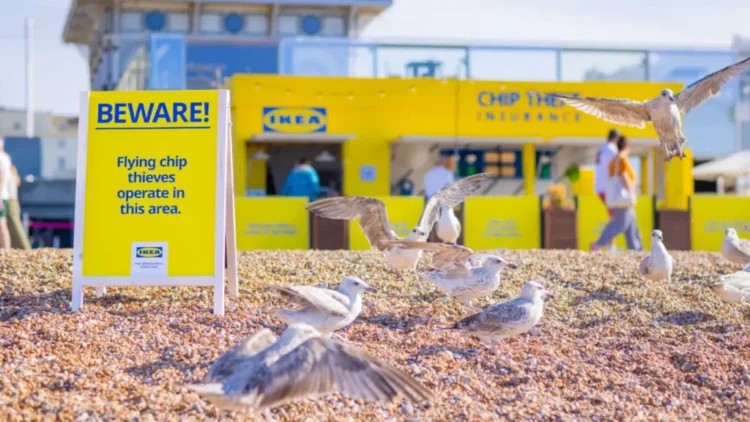 ¿Imaginas un seguro que te proteja de las gaviotas? Esto es lo que plante IKEA 1 ikea 1024x576 1
