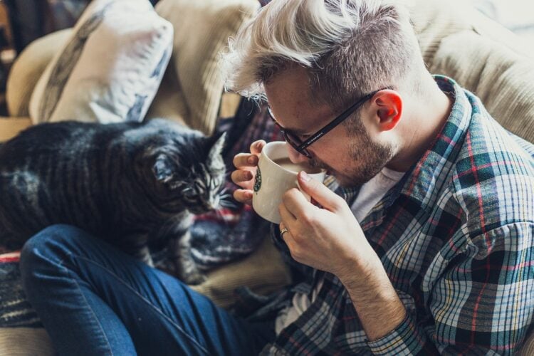 Día internacional del Gato: 3 cafeterías temáticas que deberías visitar 1 man 2178466 1280