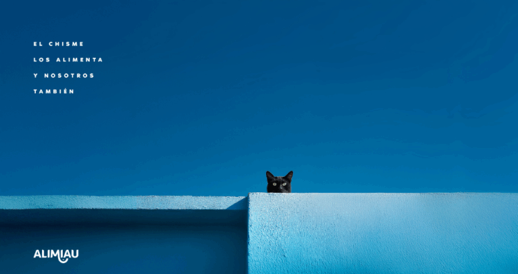Alimiau transforma la curiosidad felina en una campaña inspirada en el chisme 1 Diseno 54