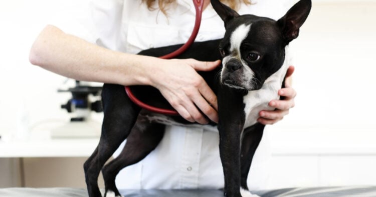 PORTAL 2025 09 23T162439.678