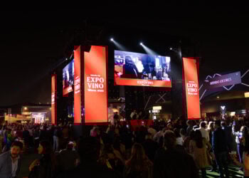 PORTAL EXPOVINO 2025 1