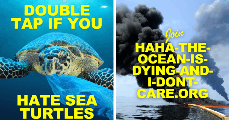 imagen destacada WP 39