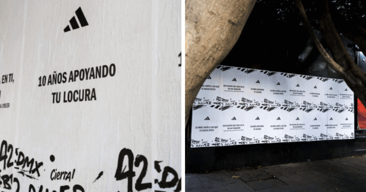 imagen destacada WP 4